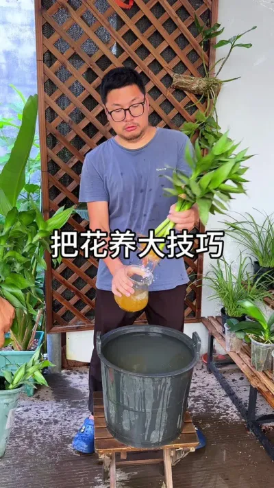 ��ѻ�����������Ҫ��� #������ֲ #ݪֲС���� #����