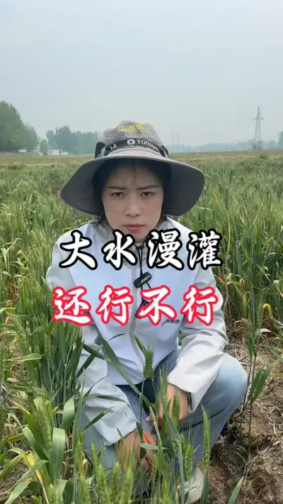 大水漫灌，真的要谨慎#分享农业知识帮农民增产增收 #老百姓关心的话题