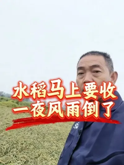 ��ҹһҹ���������˼����ֵ��˵�������˵�ֲ������������ǰ�ˮ��������ѽ���ǿ���һ����С��֧��ѽ#ˮ������ #���� #�����������Ļ���