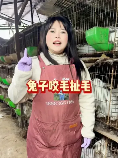 #���� #������ #����רҵ�� #�������ֿ������߷ֿ�����