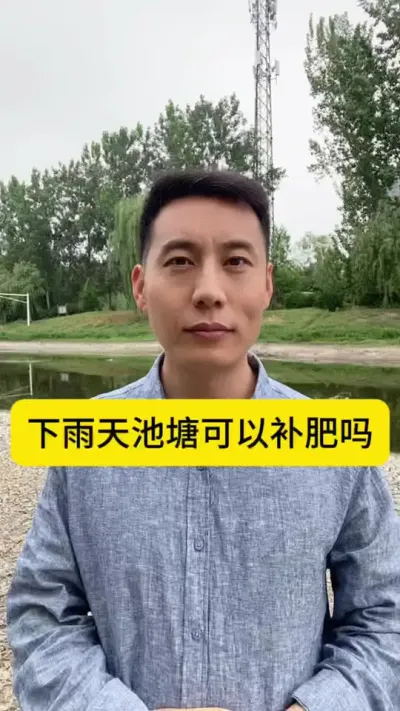 下雨天池塘可以补肥吗#水产养殖技术 #对虾养殖 #冬棚养虾 #小棚养虾 #创作灵感