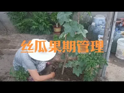 ˿��Ч������������#˿��