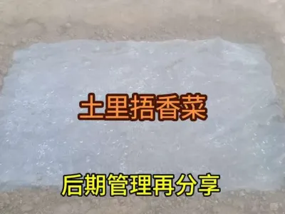 �����������������#���