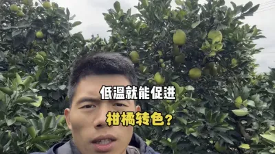 ֻҪ�ǵ��������پ��ܼ���תɫ�� #��ũ #ũҵݪֲ #���� #תɫ���� #�������� 