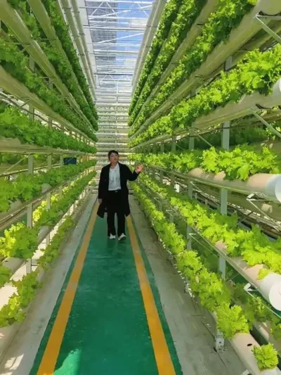 #�ִ�ũҵ #����ݪֲ