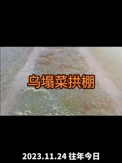 ������С���������2023�꣩