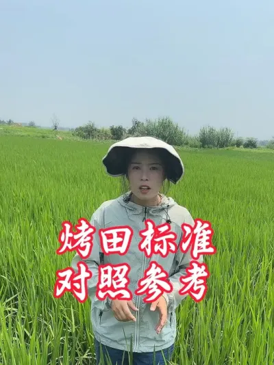 ����������ǿ�����#����ũҵ֪ʶ��ũ���������� #�����������Ļ���