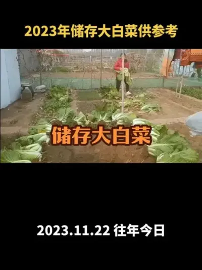 ����������ȷ�ˣ�2023�꣩