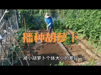 2023�겥�ֺ��ܲ�