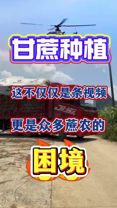 �ⲻ������һ����Ƶ�������ڶ��ָ���������澳#����ݪֲ#�������