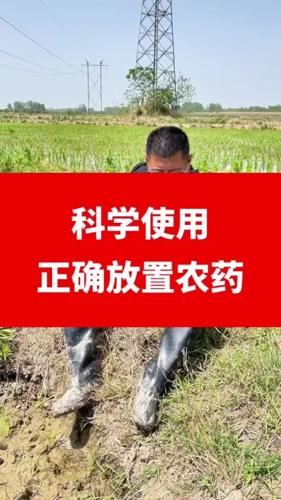 呼吁，正确放置和使用农药，避免悲剧发生 #农作物农技110 #三农 #新农人计划2025