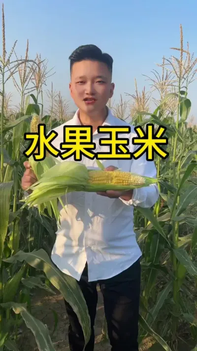 ���ϰ�������Ҫ200Ķˮ������ݪֲ����������ũ��ݪֲ·�ϵļ����뺹ˮ��#��ũ #ũ������ #ˮ������