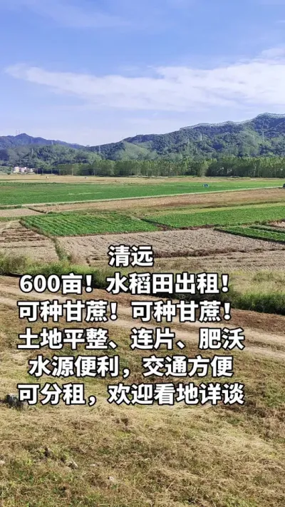 ��Զ600Ķ����ˮ�������س��⣡���ָ������²������ϵ�#ũҵݪֲ#���س���#����ݪֲ#��Ƥ����#�ƽ����