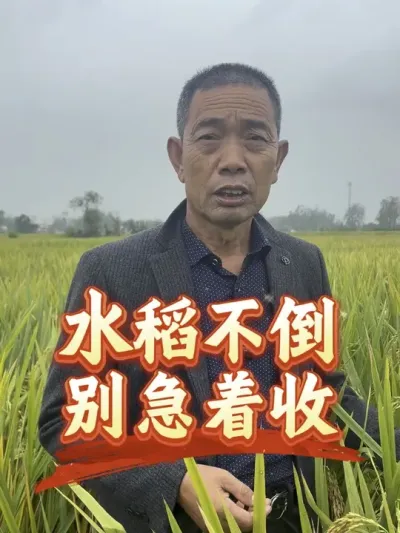 ˮ��û��û������û���������ż������໨���������ϼ�Ǯ#�����������Ļ��� #ˮ����Ǯ