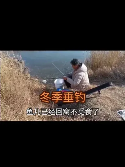 ���������涴����2023�꣩