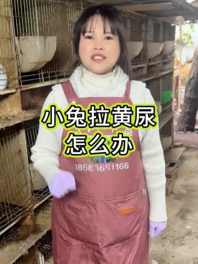 #���� #�������ֿ������߷ֿ����� #�������� #��ũ