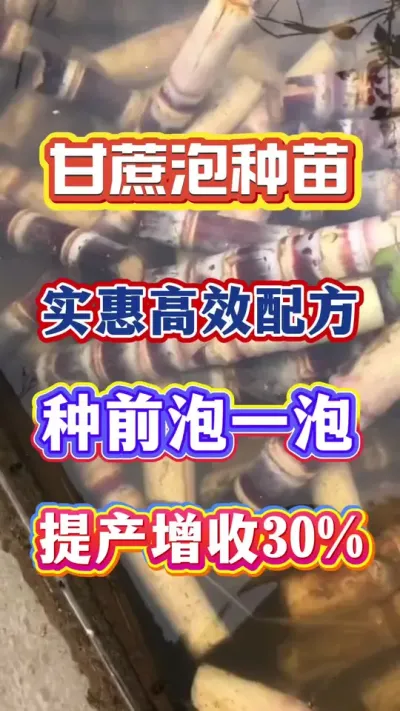 ��������ˮ���ػ��߼�Ǯ�������Լ��ڼ�����ܼ����������ã�#����ݪֲ#�������