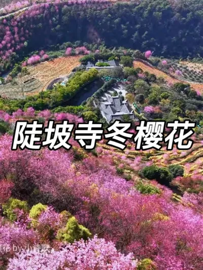 �����¶������⼸��������Ѽ���ʱ������٭�ǿ���ȥ������������2025.12.28��#���� #������ #��ů���Ὺ