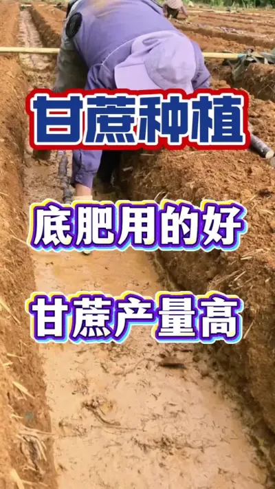 ����׷ʾ��������л��ʺ��վɸ��Ϸʸ������յ׿��ܸ�������ķ�����#����ݪֲ#����ʩ��#����