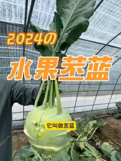 ������������ �߶˵��򾥸������������������������ϲ������٭ֱ��ȥ�İ�#��ũ������������ #��ũ #�ҵ��������� #ԭ����Ƶ #ũҵݪֲ