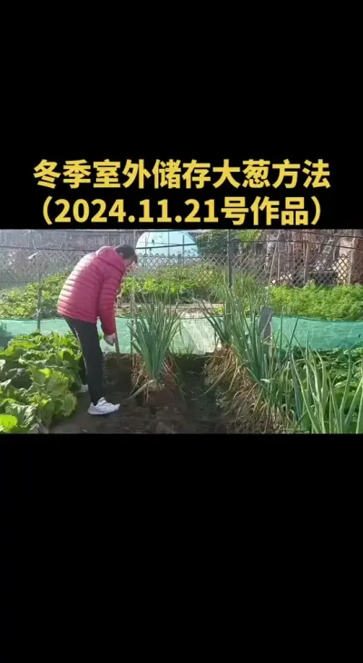 �������������еĺ�Ҫ�죨2024.11.21�ŵ���Ʒ��