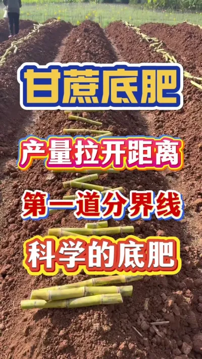 #����ݪֲ#����ʩ��#����#����׷�