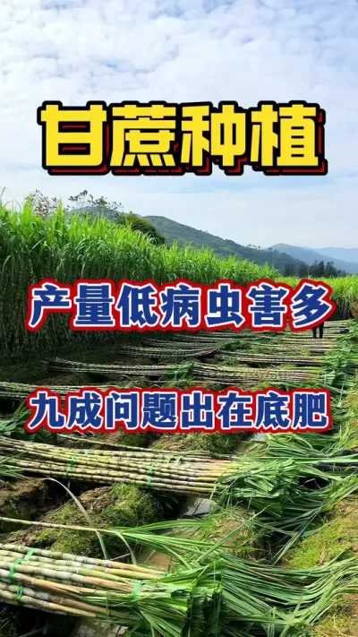 �ָ���Ҫ���ſ�ѧ���󲿷ָ������ⶼ�����ڵ׷�����#����ݪֲ#����ʩ��#����