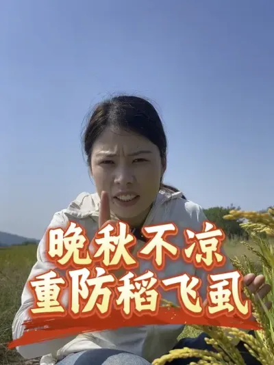 �¶ȷ����������ڵ���ʭ�����������ˮ��Ҫע����#����ũҵ֪ʶ��ũ���������� #�����������Ļ���