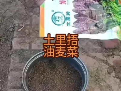 ���������������