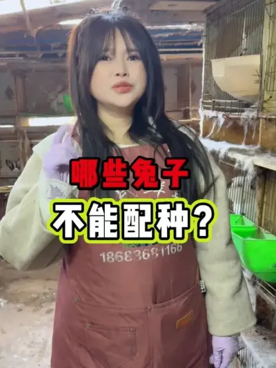 #���� #������ #�������ֿ������߷ֿ����� #����������������