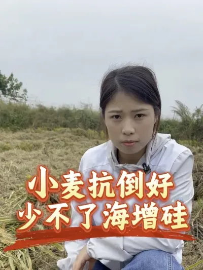 ��һ�Ѳ�����п���������������ܿ������ܴٷ�����һ�ټ���#����ũҵ֪ʶ��ũ���������� #�����������Ļ��� #С�󵹷�