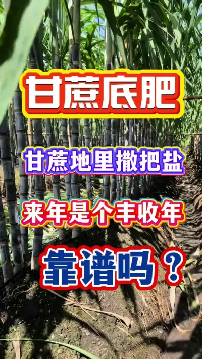 �ָ��������㻹��ƫ��ƫ��С���С�Сƫ�����Ǹ�������������㡢���������������������ն��п���#����ݪֲ#����ʩ��#����׷�