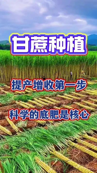 ������Ҳ���ָ������������Ƶһ��Ҫ������������������ղ��Һù���#����ݪֲ#����ʩ��#����