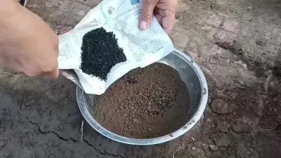 ����2025����Խ�������ļ��㽨��