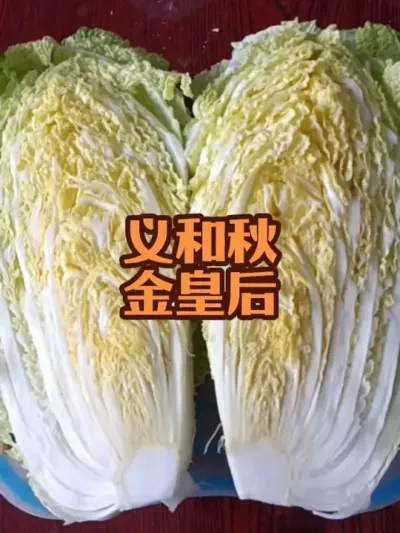 ������ʺ�Ʒ��Ʒ������