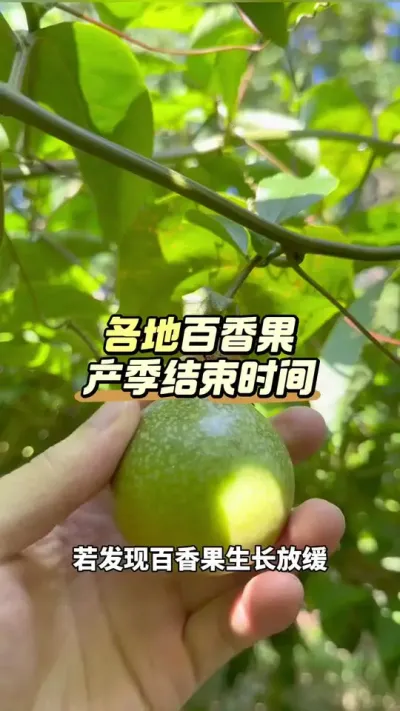 �ƽ�������������ʱ��#�����ݪֲ #�ƽ�����ݪֲ���� #�����ݪֲ���� #�ƽ����� #��ΰ��