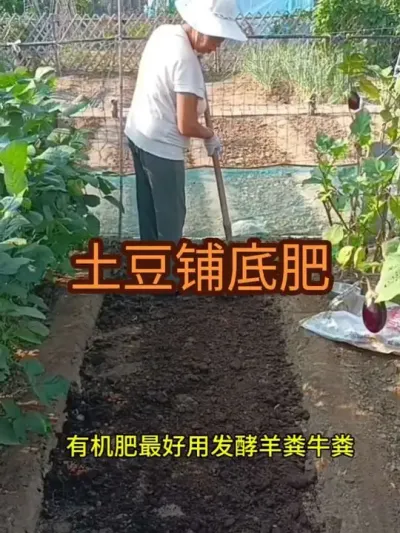 ݪֲ���������̵׷�#����