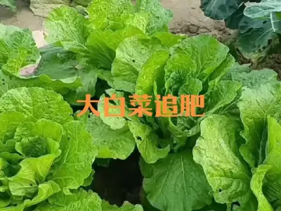 ��ȷ��������������׷��#��ȷ��