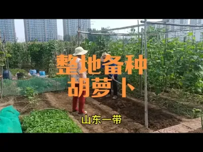 ݪֲ���ܲ���ʱ����ע������#���ܲ�