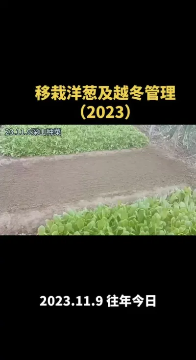 �������(��൰����Խ��)2023��