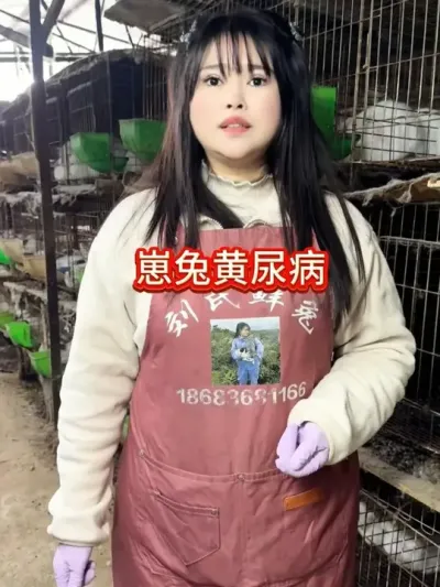 #������ #���� #�������ֿ������߷ֿ����� #����������������