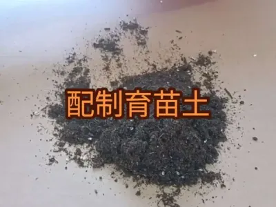 �����������ļ���Ҫ��#����