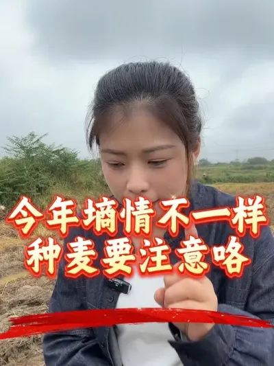 ������ˮ�������ʪ�ȶ��ܴ�����С��һ��Ҫע��??#����ũҵ֪ʶ��ũ���������� #�����������Ļ��� #С��ݪֲ