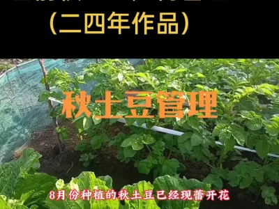 ����������������������������Ʒ��