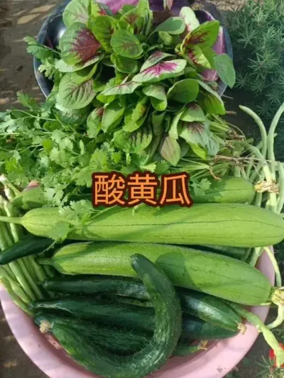 ��ƹϵ�����δ�ص�#��ƹ�