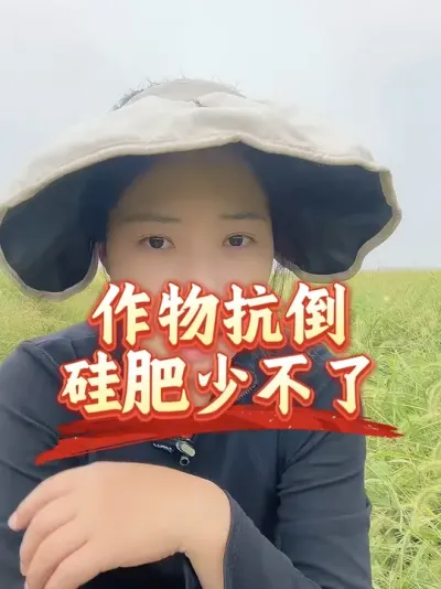 ���������������Ӫ�����ո�������Ҫʵʱ������п��#����ũҵ֪ʶ��ũ���������� #�����������Ļ���