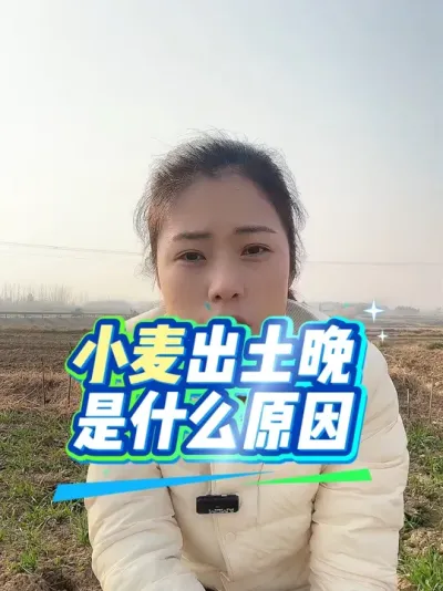 С���������������ʲôԵ��ԭ�������С���Ǽ������������#����ũҵ֪ʶ��ũ���������� #�����������Ļ���