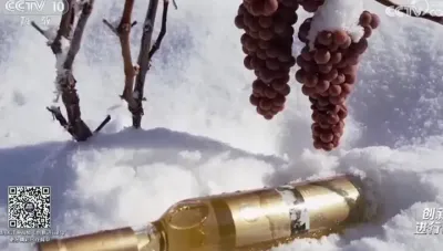 �������ѹ�ҵ����ϵͳ�������ۺ�����վվ��³�����о�Ա�����������ݣ������ñ������ڸߺ�����ݪֲ�ֳ���