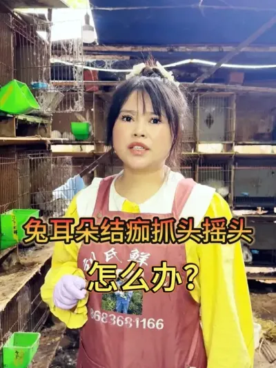 #���� #������ #��ũ #��������