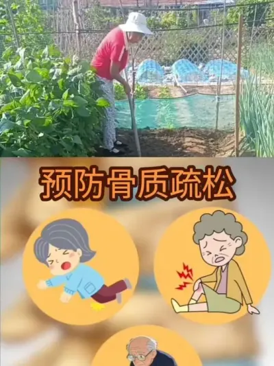 ��С��԰��������Ԥ��������ɢ